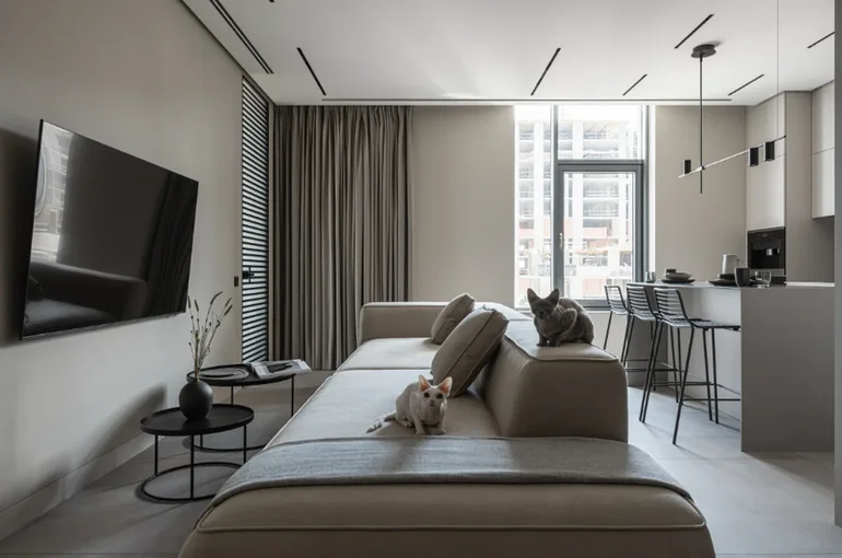 Apartment Remodeling